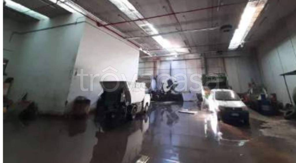 immagine annuncio 7 di 13