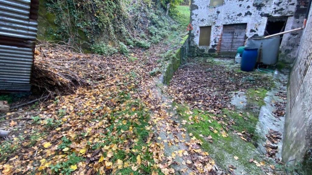 immagine annuncio 1 di 6