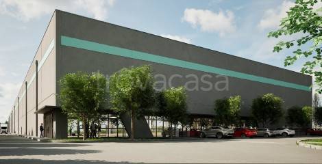 immagine annuncio 3 di 7