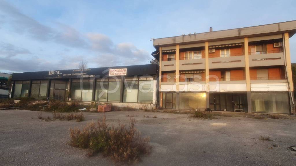 immagine annuncio 5 di 11