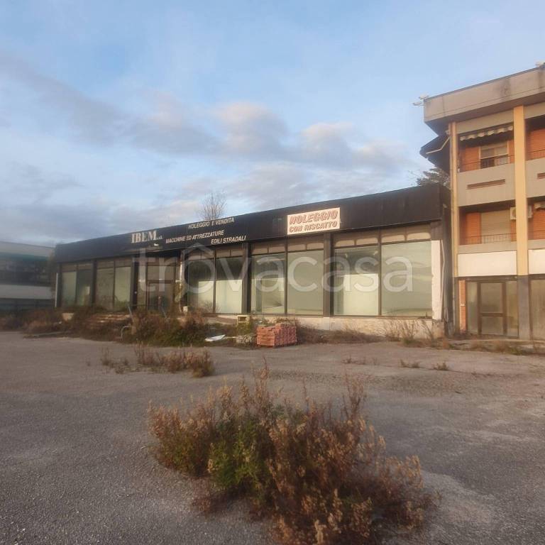 immagine annuncio 4 di 11