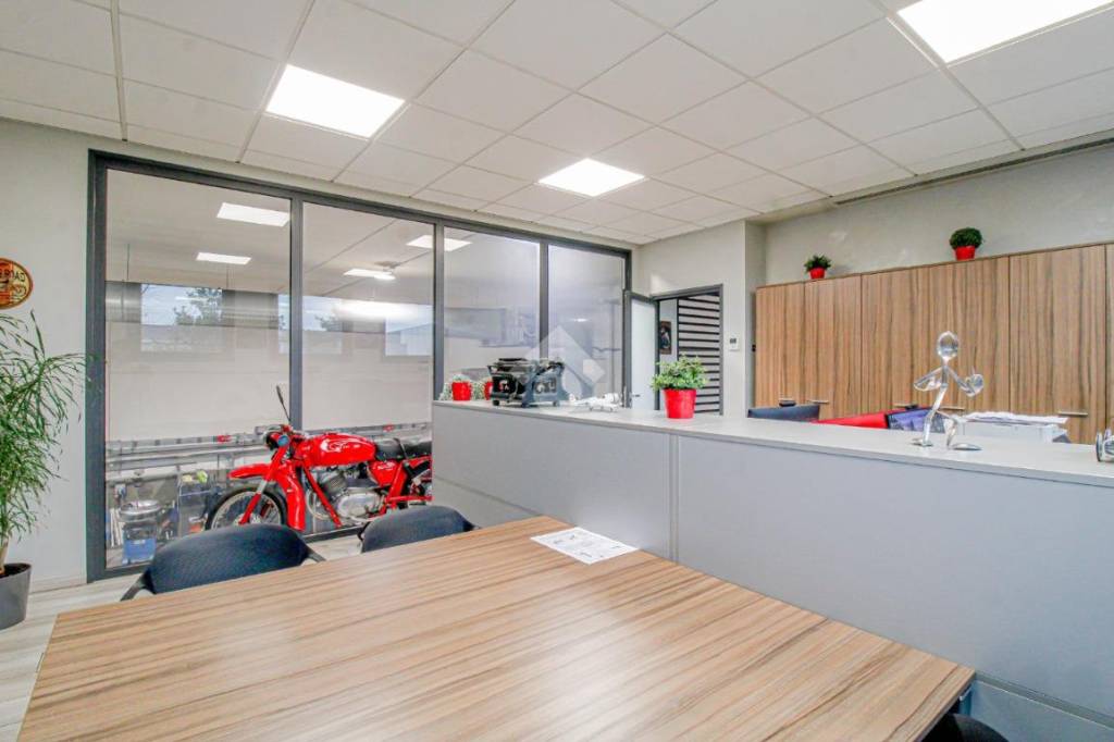 immagine annuncio 2 di 15