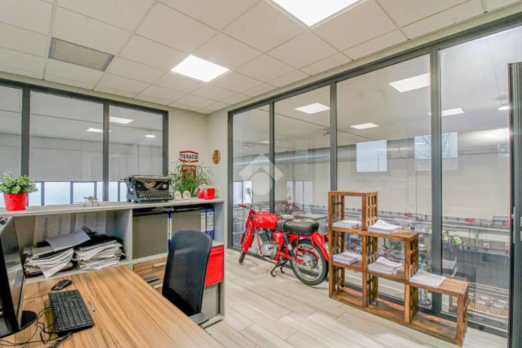 immagine annuncio 5 di 15