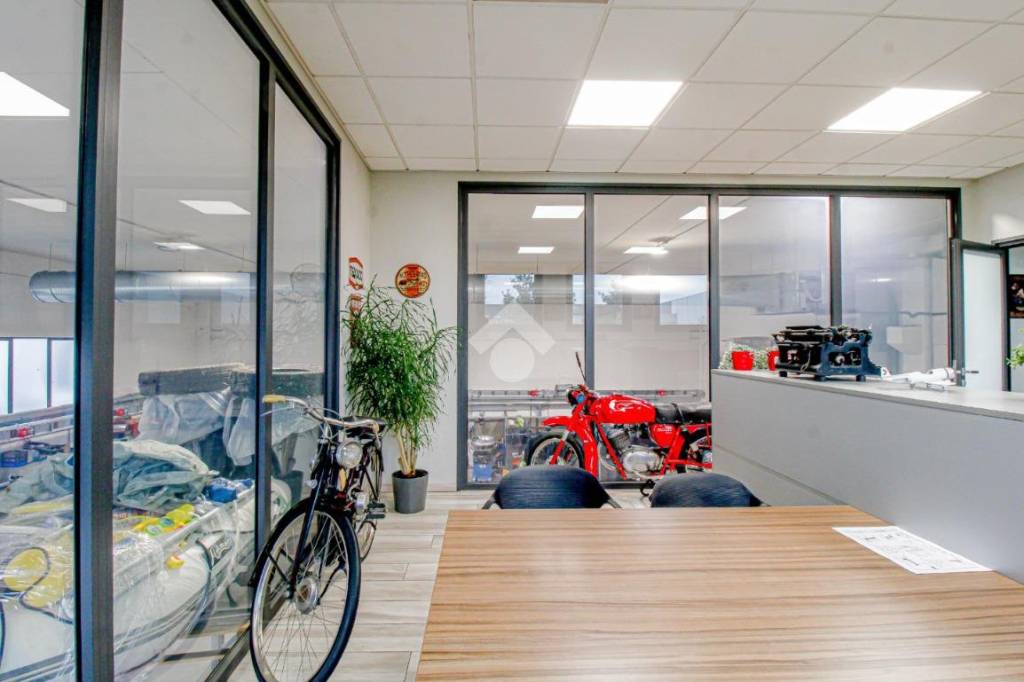 immagine annuncio 13 di 15