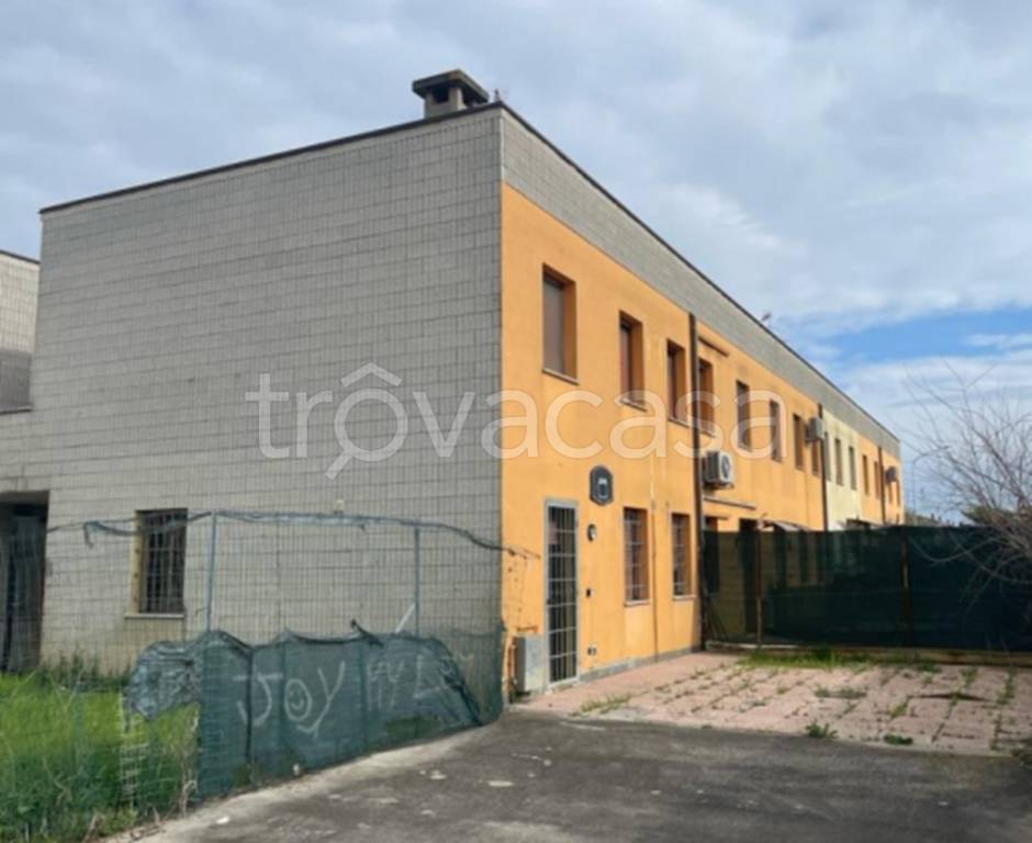 immagine annuncio 1 di 12