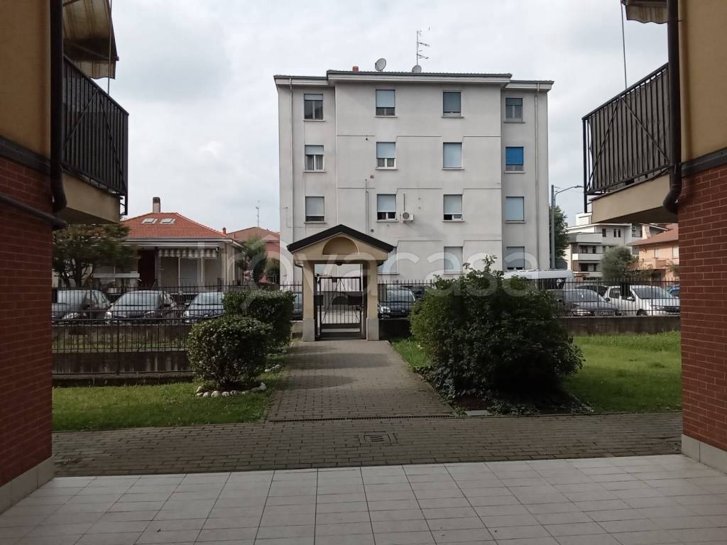 immagine annuncio 5 di 15