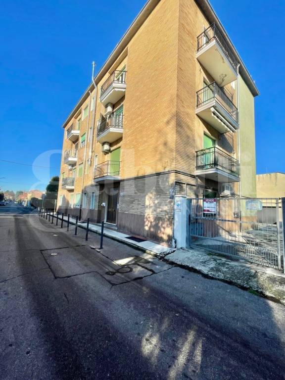 immagine annuncio 1 di 12