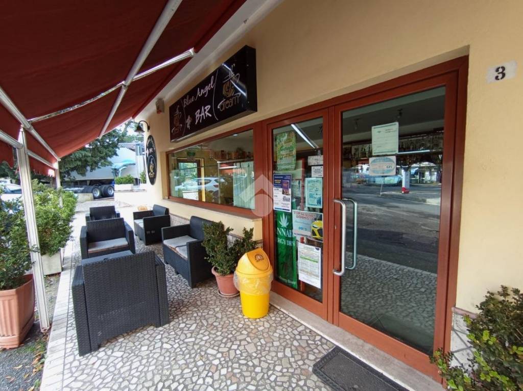 immagine annuncio 2 di 12