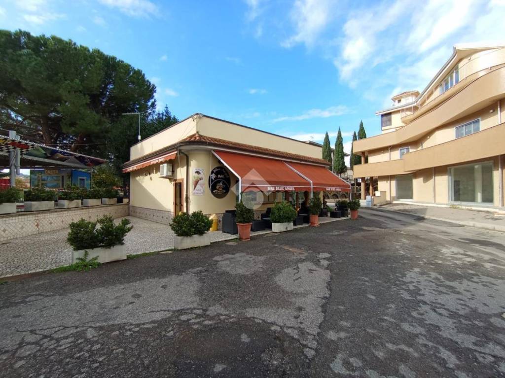 immagine annuncio 9 di 12