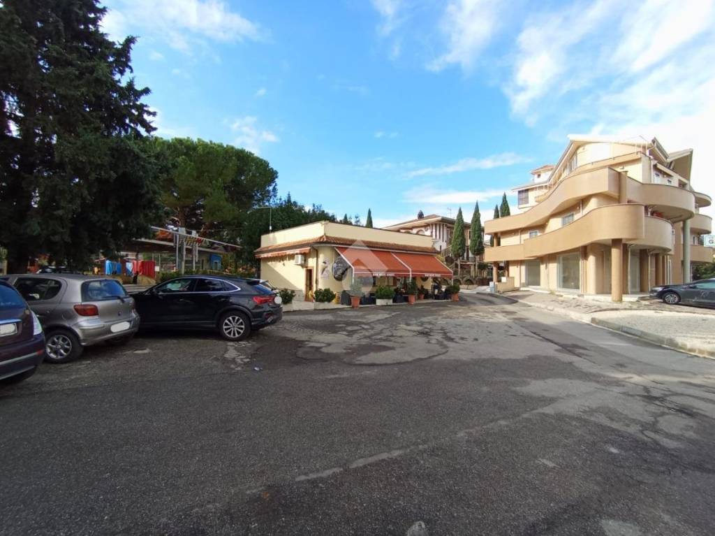 immagine annuncio 11 di 12