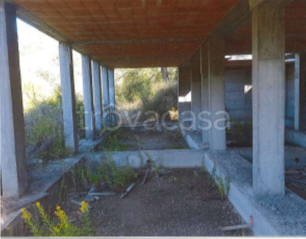 immagine annuncio 10 di 11