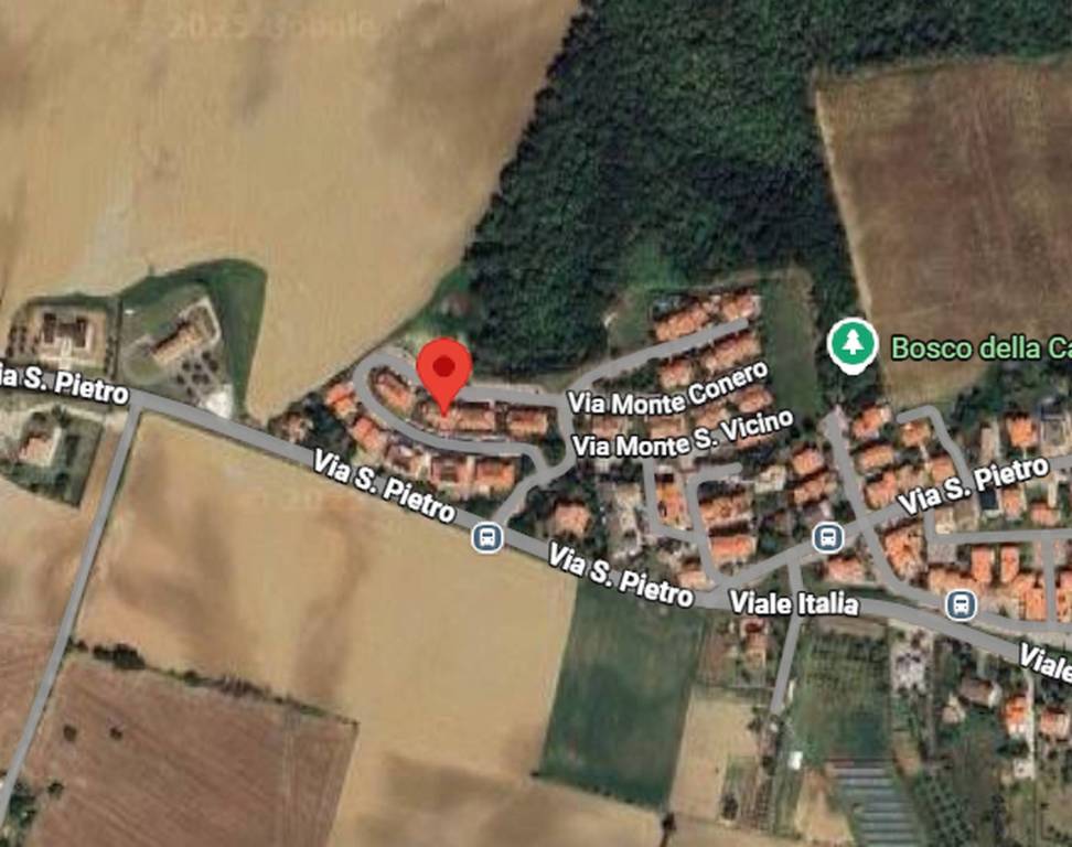 immagine annuncio 1 di 11