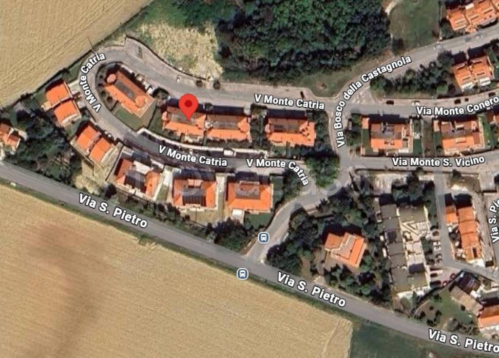 immagine annuncio 3 di 11