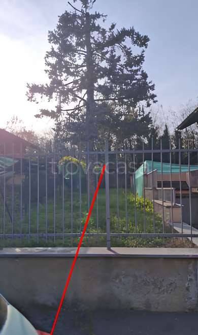 immagine annuncio 2 di 14