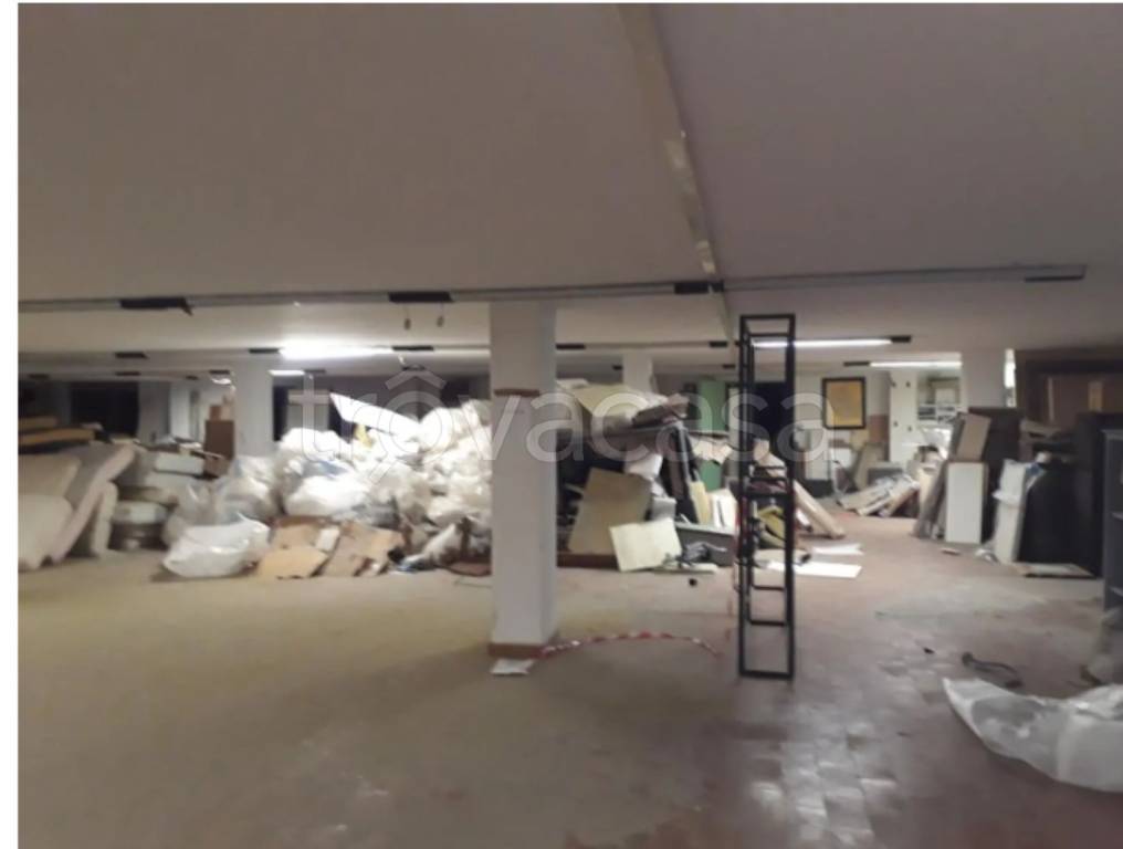 immagine annuncio 11 di 14