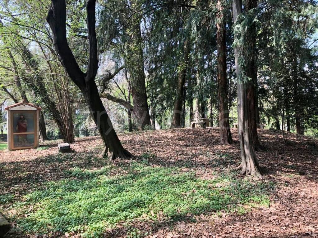 immagine annuncio 6 di 15