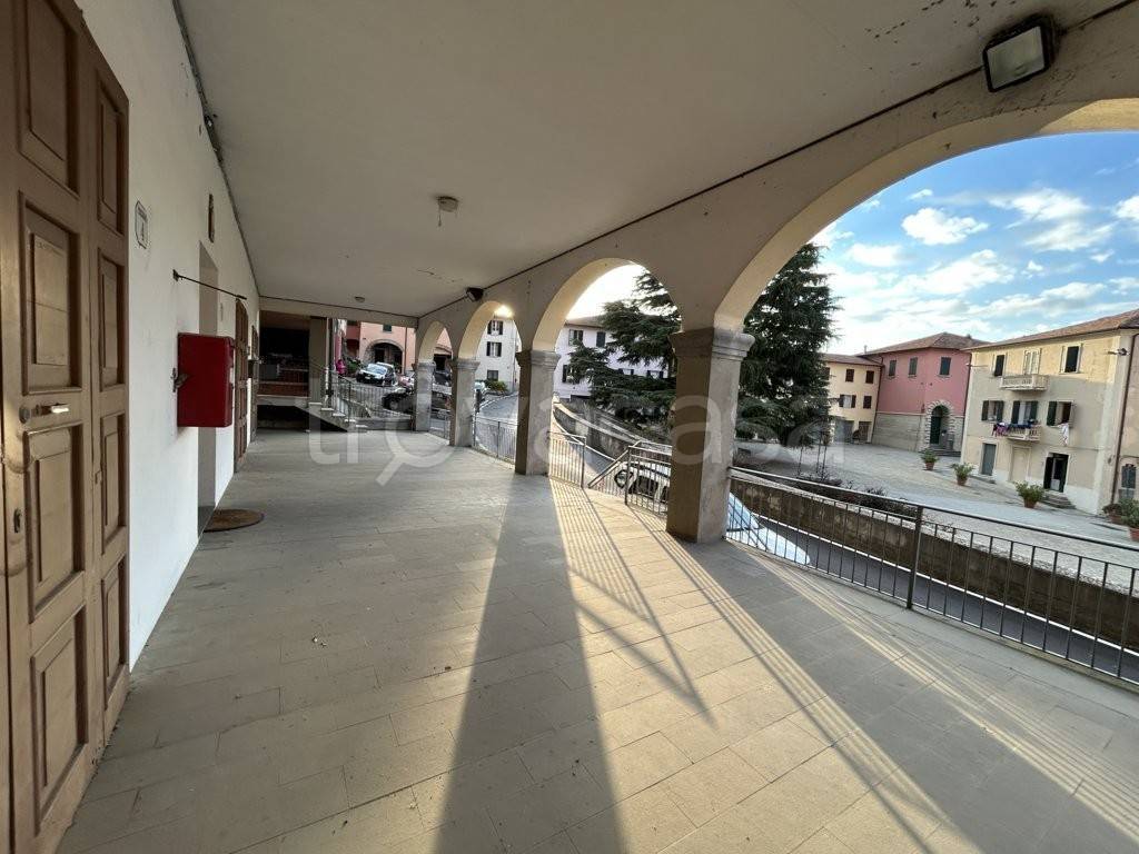 immagine annuncio 9 di 12