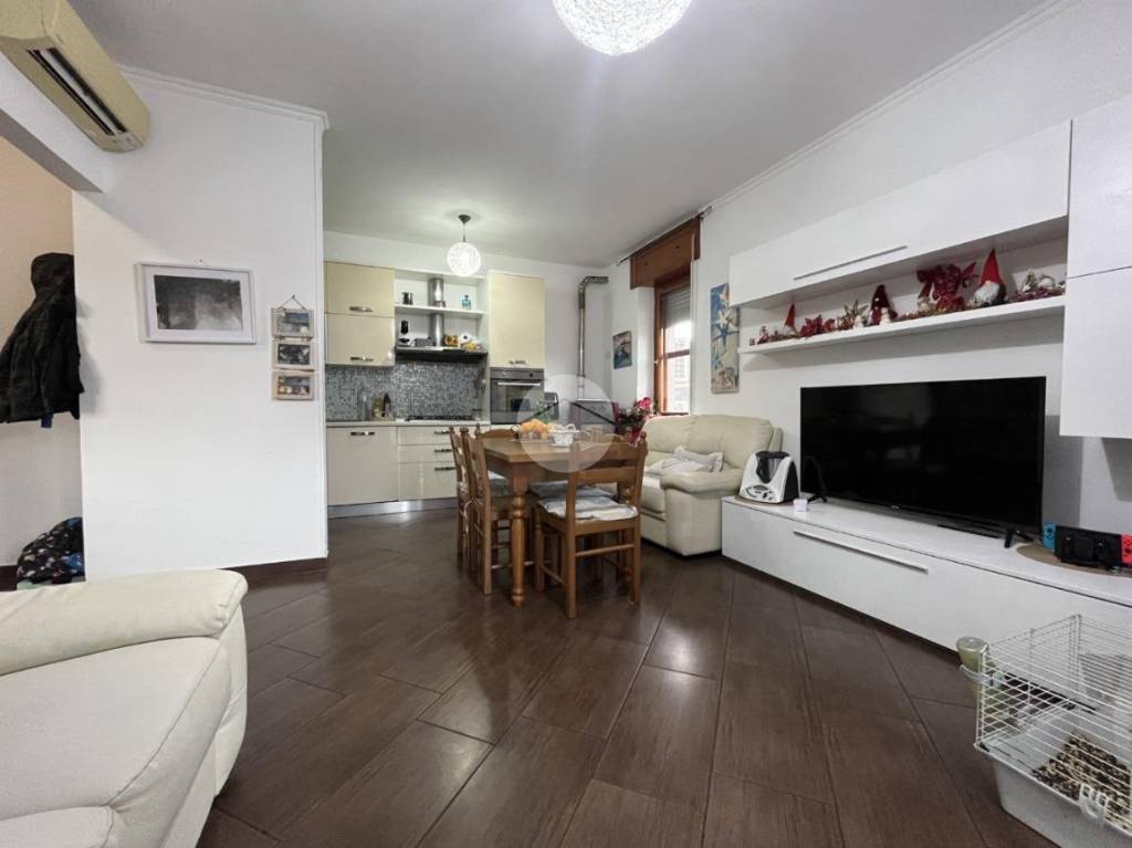 immagine annuncio 1 di 14