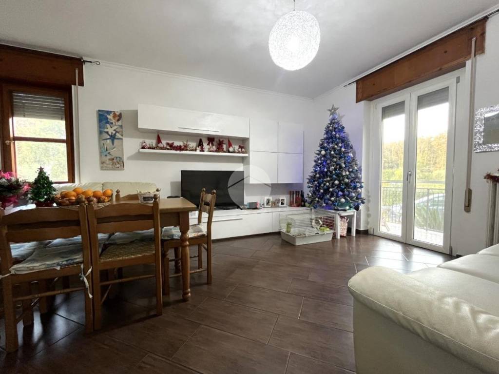 immagine annuncio 2 di 14