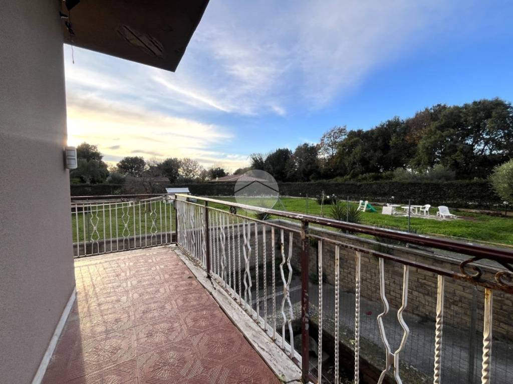 immagine annuncio 12 di 14