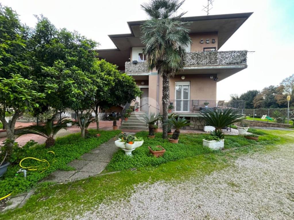 immagine annuncio 13 di 14