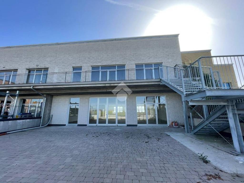 immagine annuncio 12 di 15