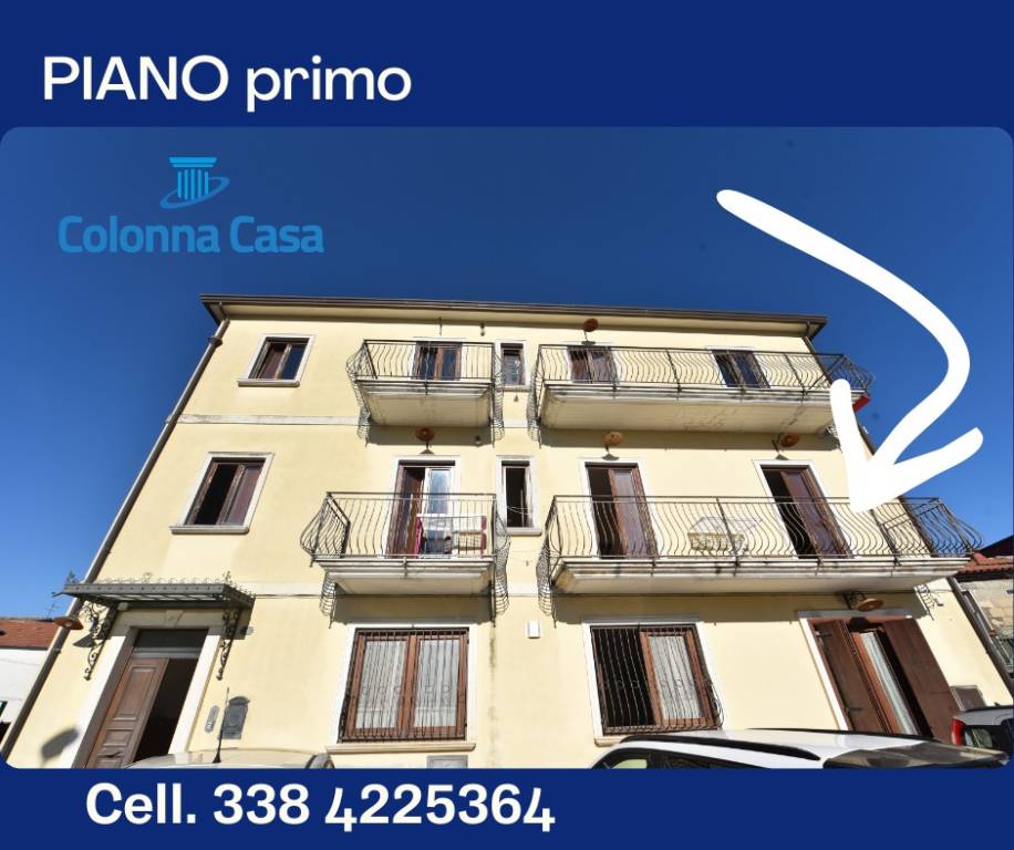 immagine annuncio 5 di 12