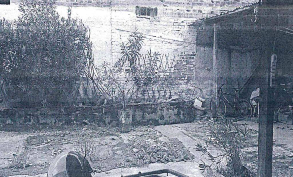 immagine annuncio 4 di 14