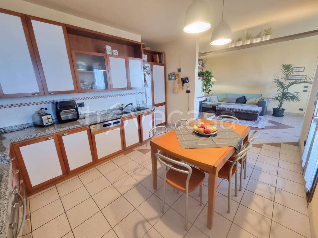 immagine annuncio 6 di 15