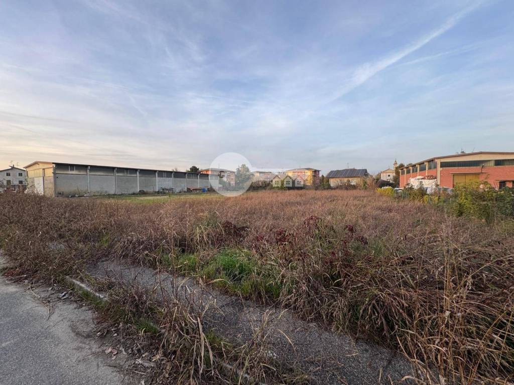 immagine annuncio 2 di 4