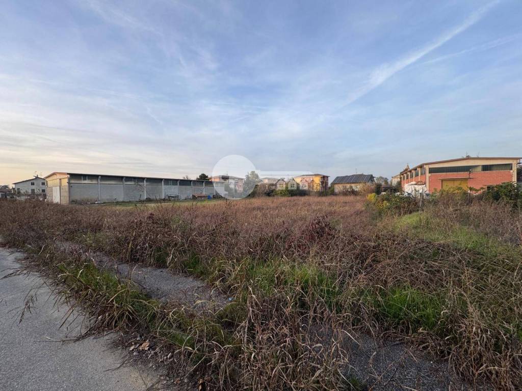 immagine annuncio 3 di 4