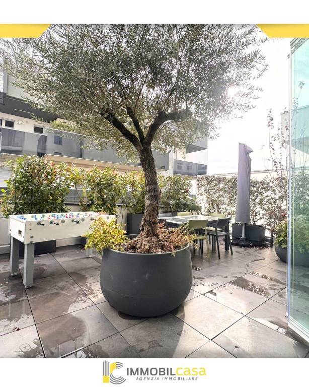 immagine annuncio 3 di 13