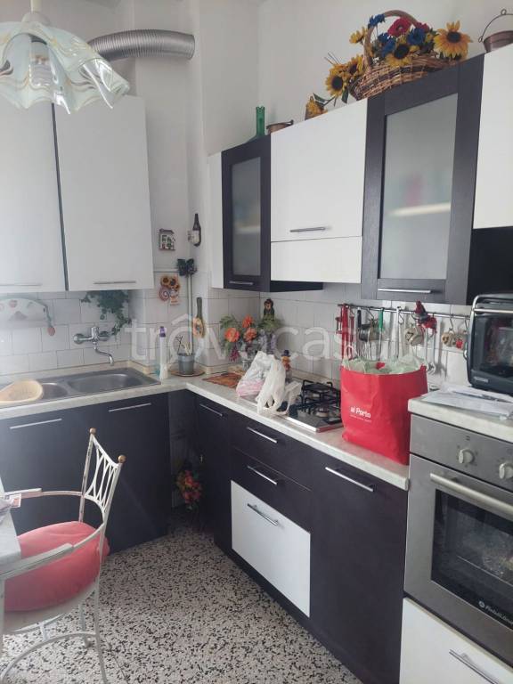 immagine annuncio 2 di 12