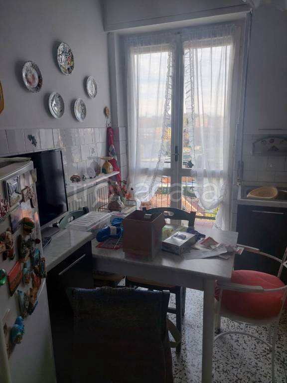 immagine annuncio 4 di 12