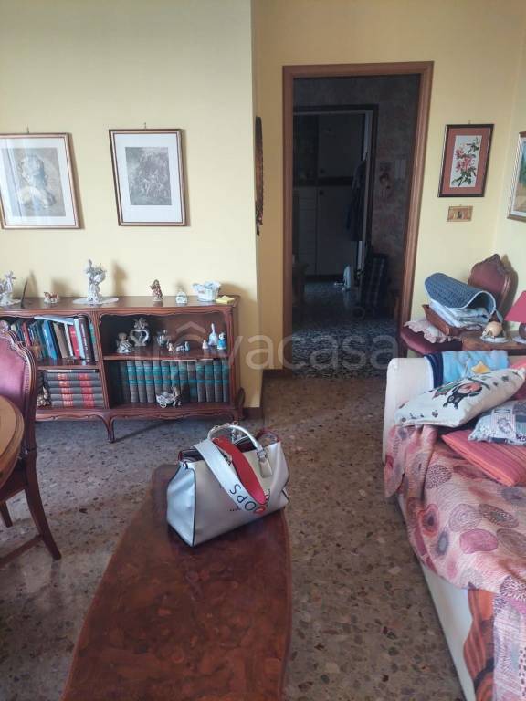 immagine annuncio 5 di 12