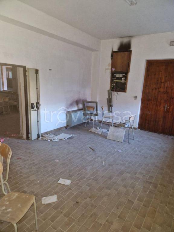 immagine annuncio 9 di 14