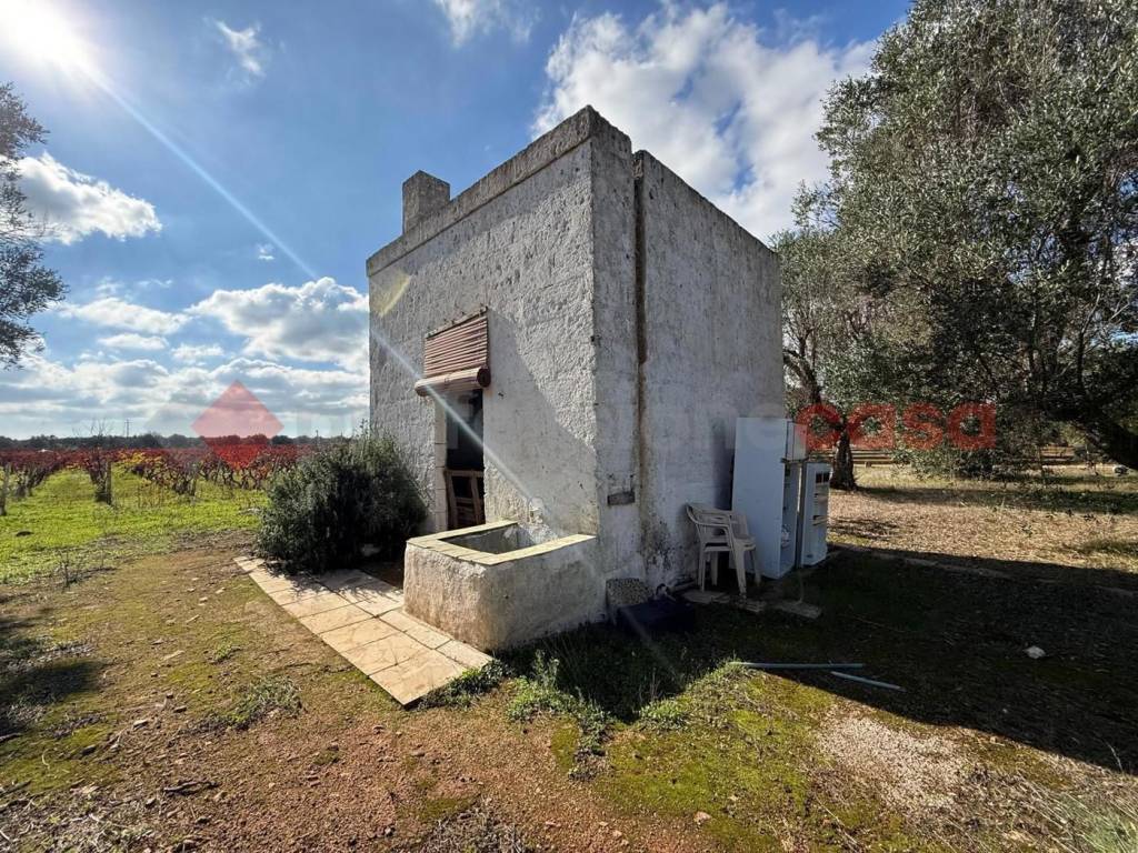 immagine annuncio 10 di 14