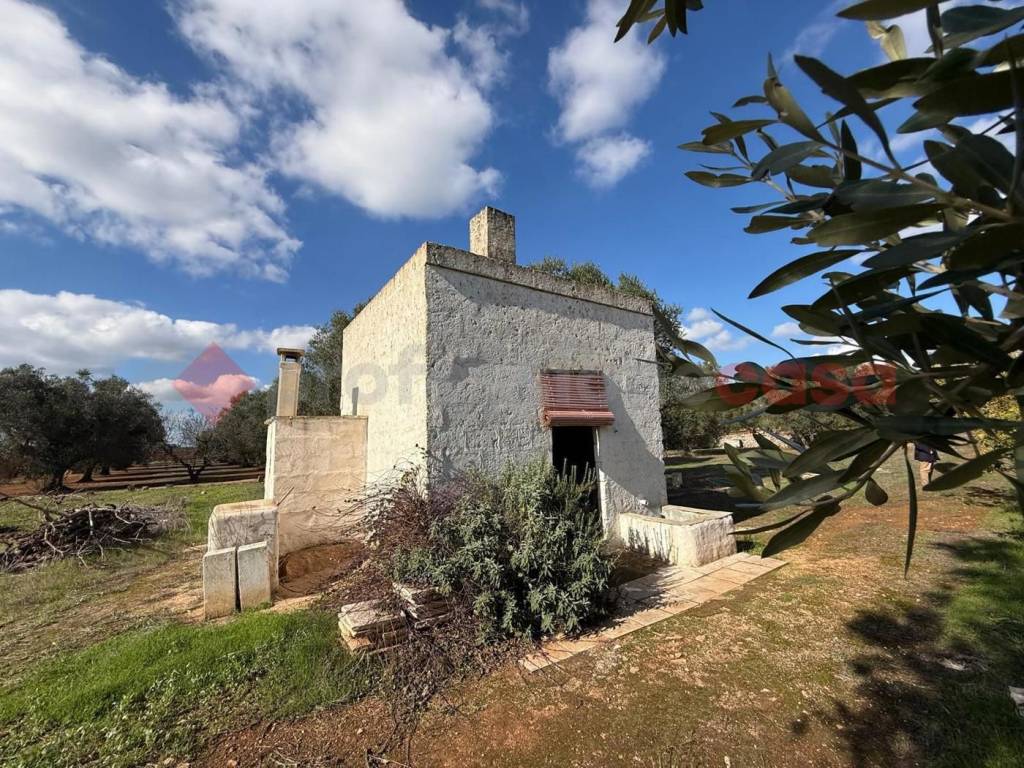 immagine annuncio 11 di 14