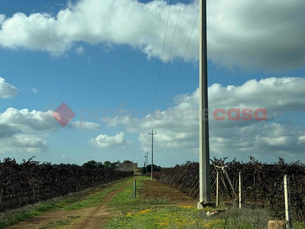 immagine annuncio 13 di 14