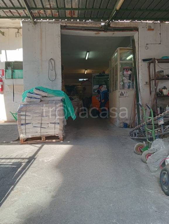 immagine annuncio 6 di 13