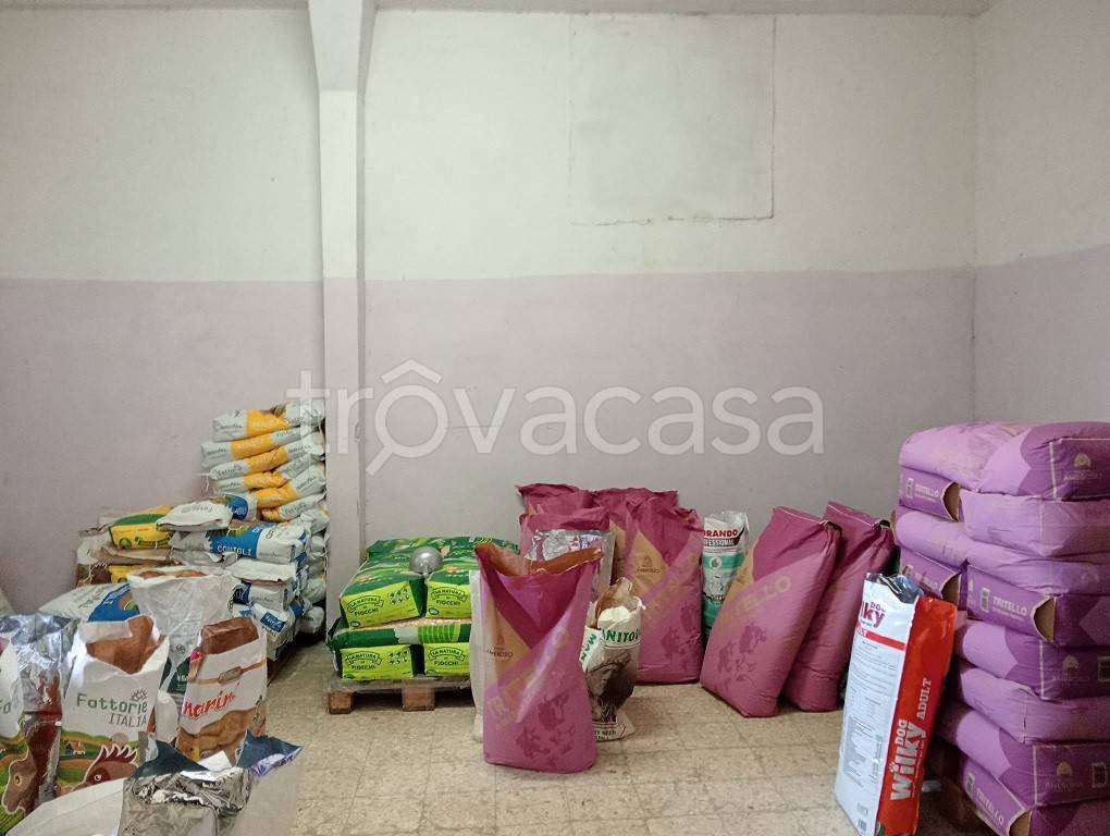 immagine annuncio 9 di 13