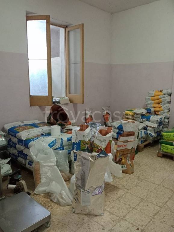 immagine annuncio 10 di 13