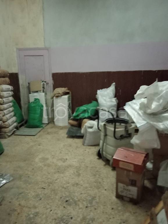 immagine annuncio 11 di 13