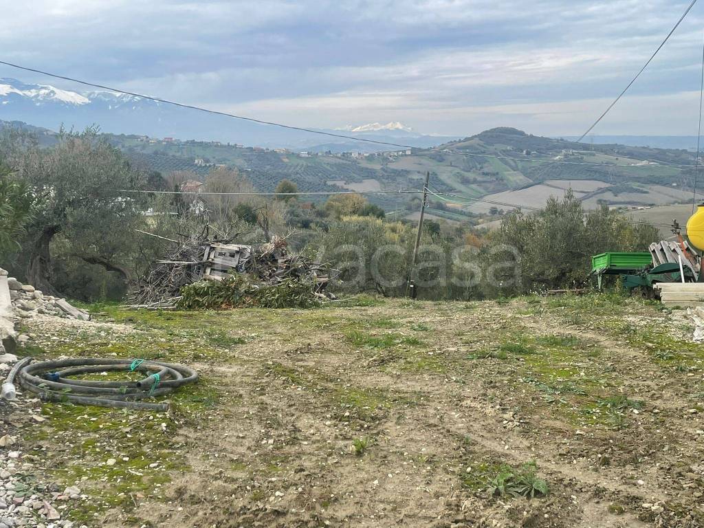 immagine annuncio 3 di 4