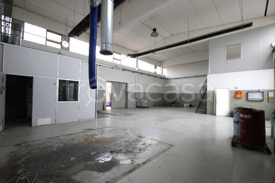 immagine annuncio 1 di 15