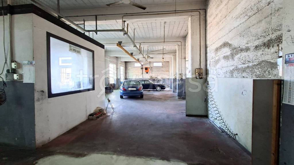 immagine annuncio 7 di 15