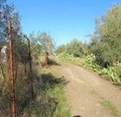 immagine annuncio 3 di 8