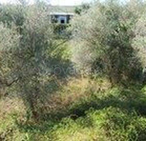 immagine annuncio 4 di 8