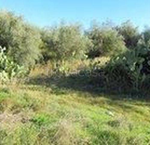 immagine annuncio 5 di 8