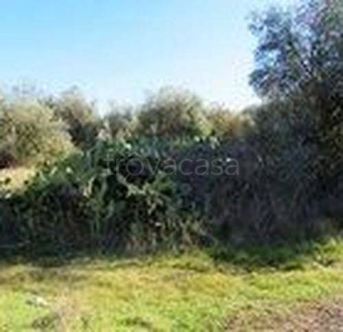 immagine annuncio 7 di 8